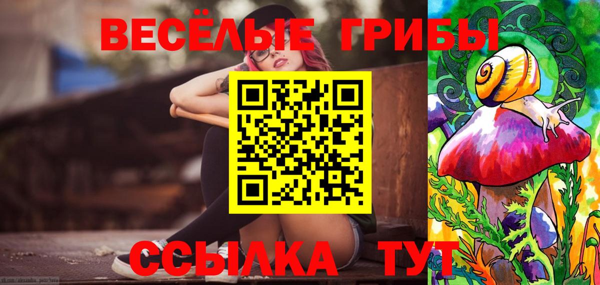 Псилоцибиновые грибы Psilocybine cubensis  Вход с VPN  Михайловка 